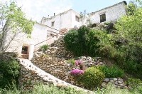Property 268